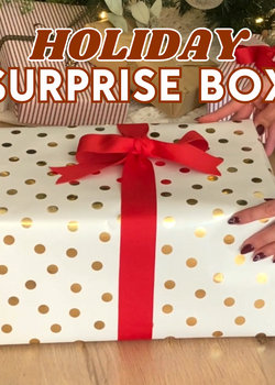 Holiday Surprise Box (Save $30!)
