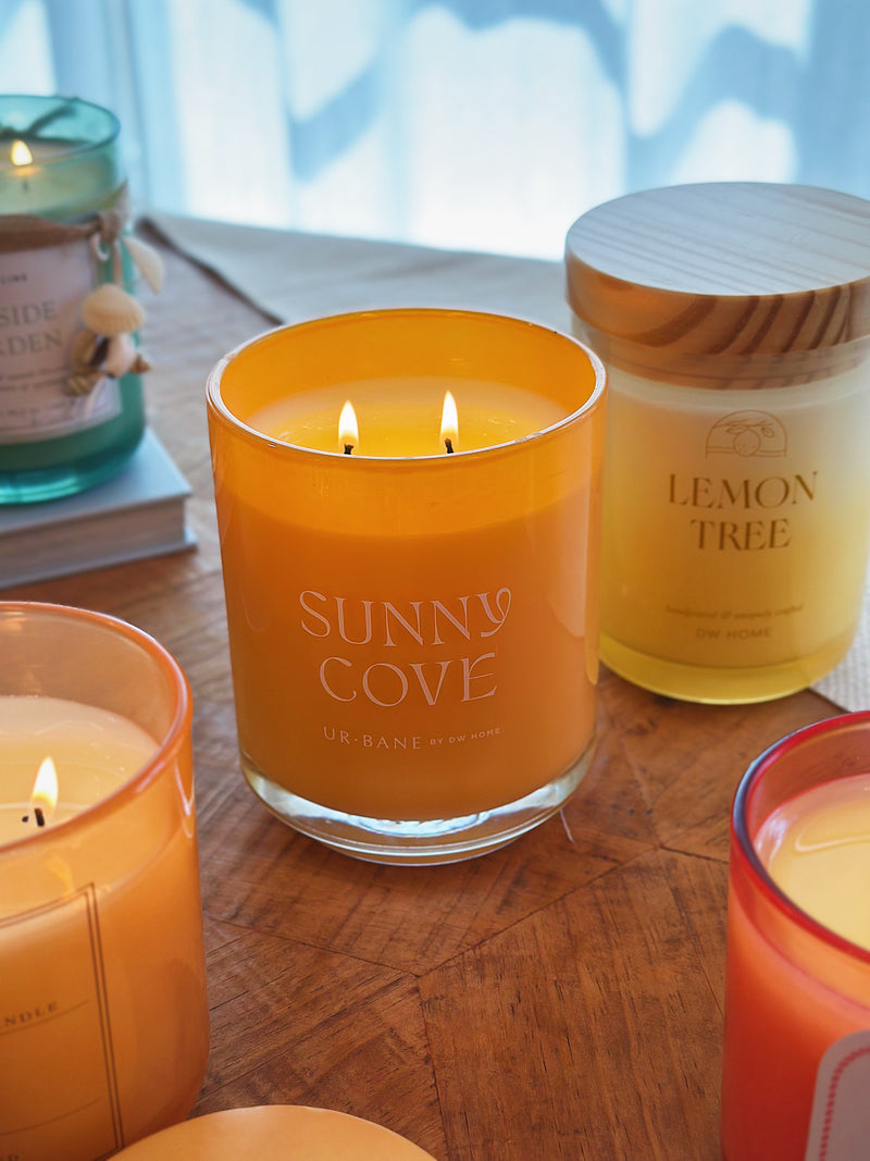 Sunny Cove Double Wick