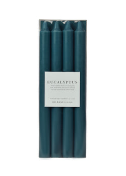 Eucalyptus | Taper 4-Pack