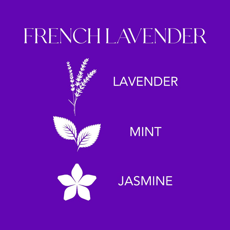 French Lavender Infographic