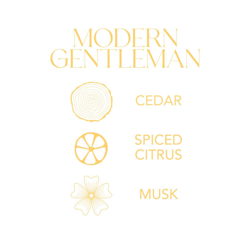 Modern Gentleman Infographic