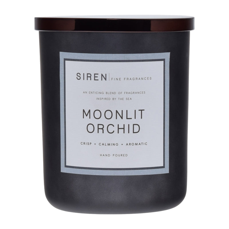 Moonlit Orchid