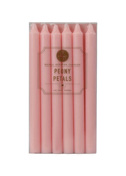 Peony Petals | Taper 6-Pack