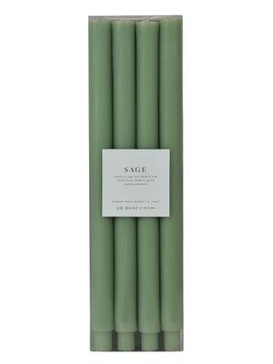 Sage | Taper 4-Pack