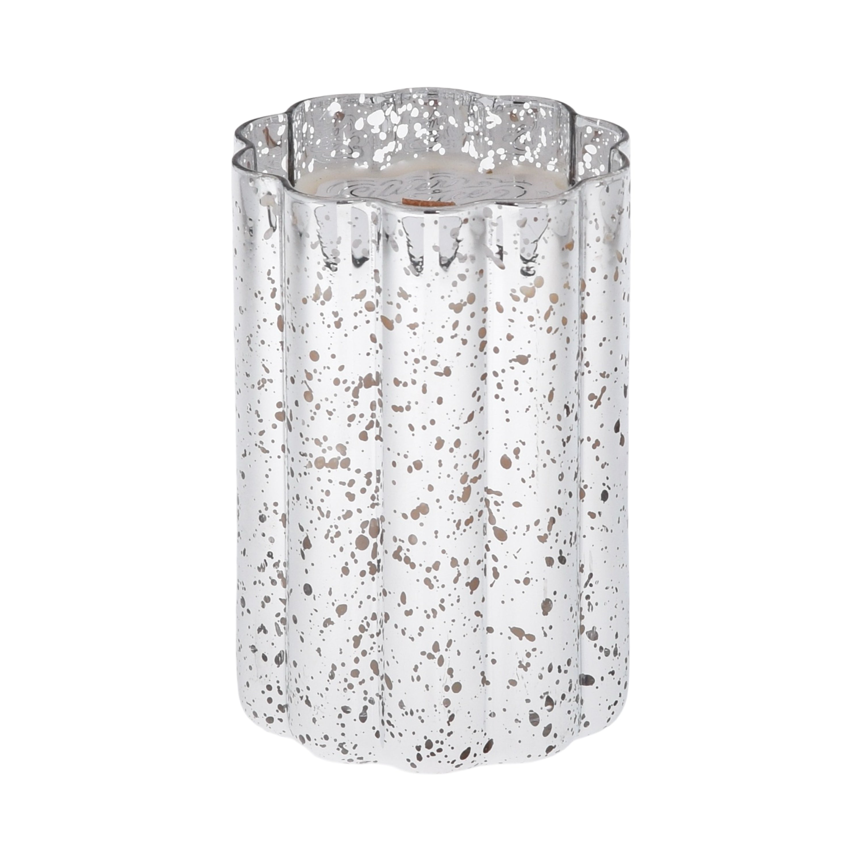 Silver_Spruce_82440ac4-70f8-