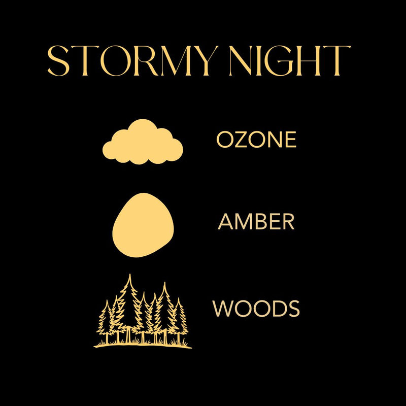 Stormy Night Infographic