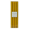 Sunflower | Taper 4-Pack