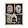 Yellowstone 4-Pack | Box Set