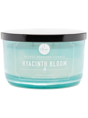 Hyacinth Bloom