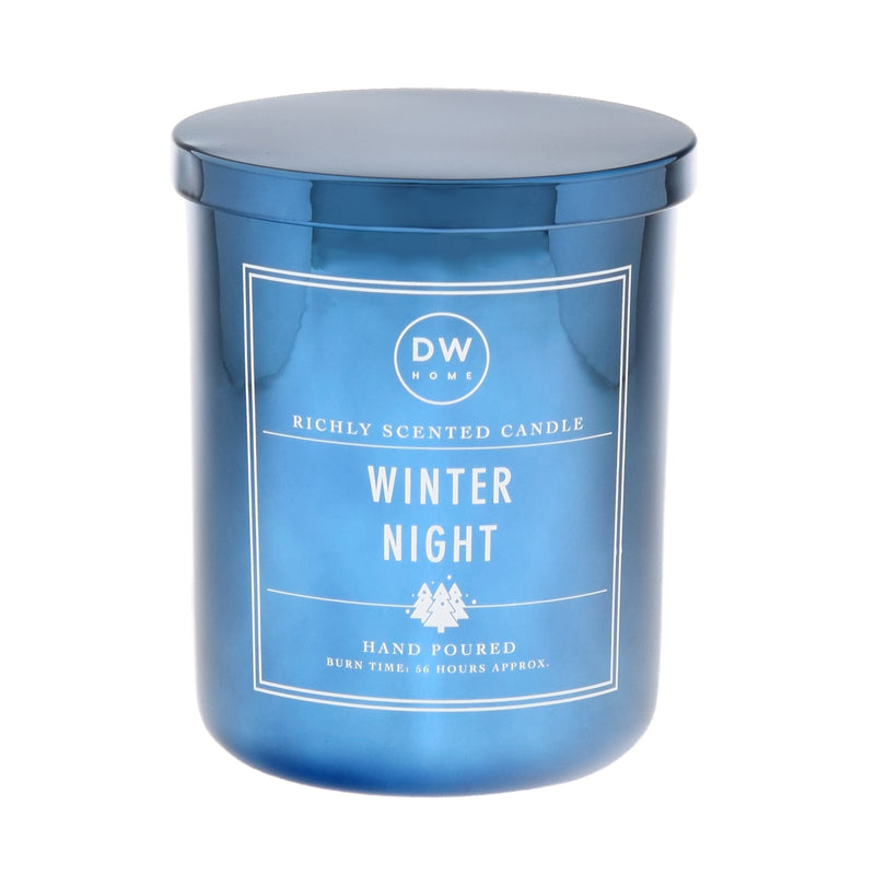 Winter Night
