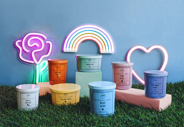 New Signature Collection - Color Story