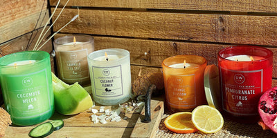 PATCHOULI wood wick candle – Perfumesoils