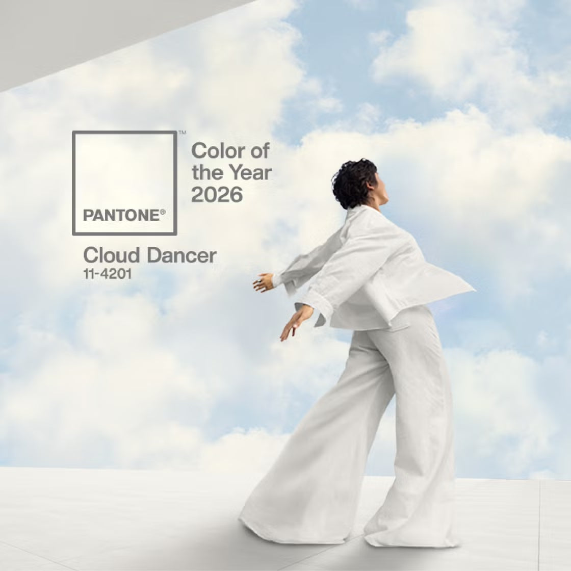 PANTONE 11-4201 - Cloud Dancer