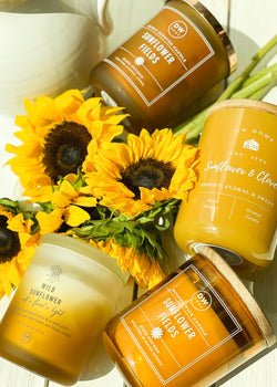 Wild Sunflower Candle Single Wick