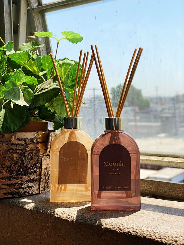 Cashmere | Reed Diffuser – DW Home Candles