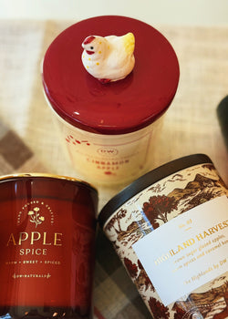 Cinnamon Apple | Ceramic Double Wick Candle