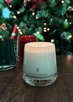Cedar & Cinnamon Candle Double Wick
