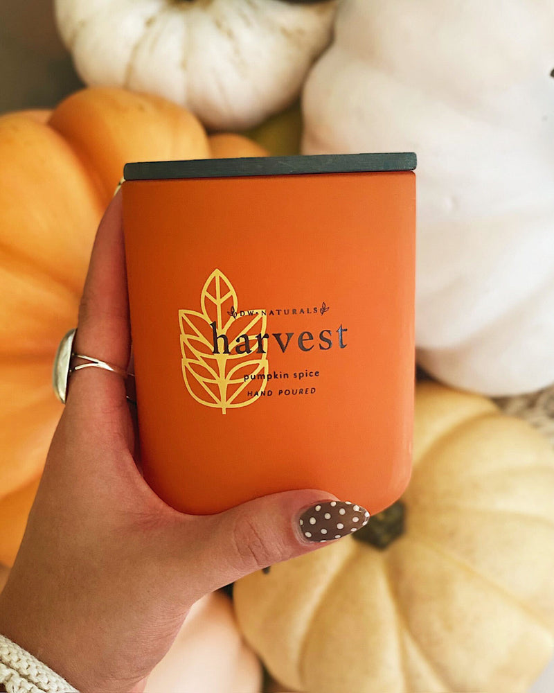 Harvest Pumpkin Spice Candle Single Wick