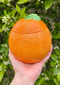 Juicy Orange Ceramic Candle Double Wick
