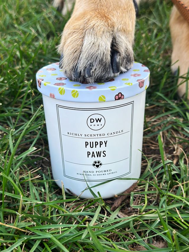 【puppy】 キャンドル 3点セット Puppy Paws – DW Home Candles