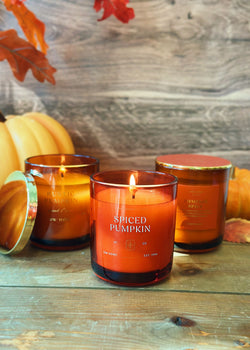 Spiced Pumpkin Candle Single Wick