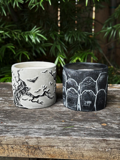 Dead Cedarwood | Cement Double Wick Candle