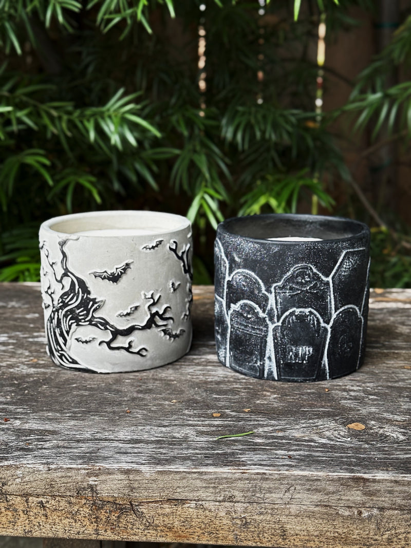 Dead Cedarwood | Cement Double Wick Candle