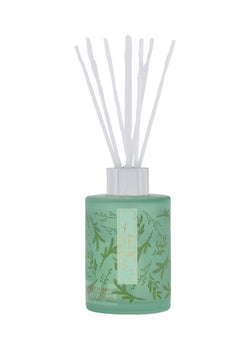 Green balsam fir diffuser with white reeds