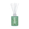 Green balsam fir diffuser with white reeds