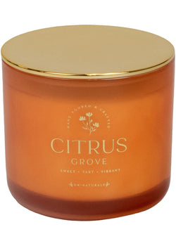 Citrus Grove