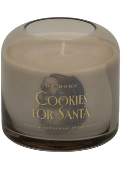 Cookies for Santa