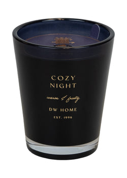 Cozy Night