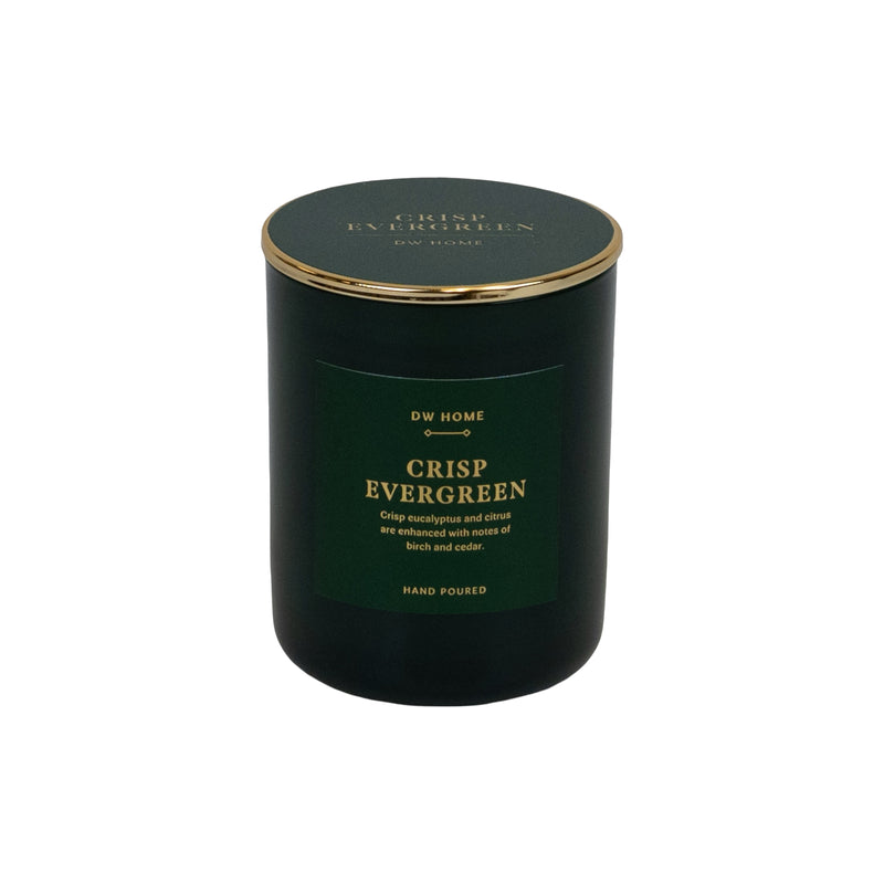 Crisp Evergreen - Mini