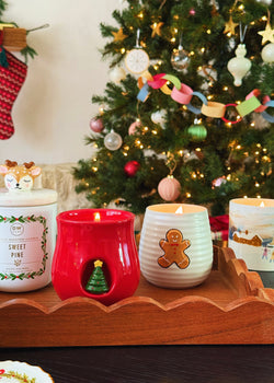 Balsam Pine | Ceramic WOODEN WICK Candle