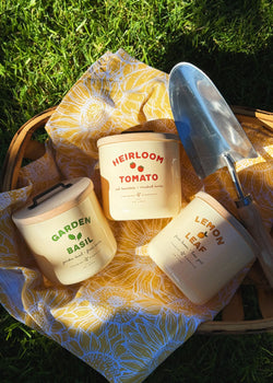Lemon Leaf Triple Wick Candle