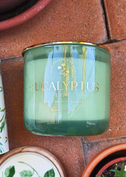 Eucalyptus Leaf Triple Wick Candle