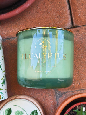 Eucalyptus Leaf Triple Wick Candle