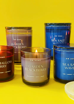 Studio Classics Single Wick Bundle