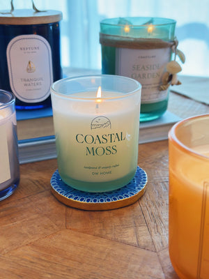 Coastal Moss Candle Single Wick