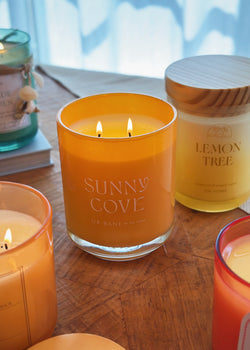 Sunny Cove Double Wick