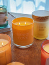 Sunny Cove Double Wick