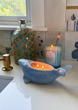 Calming Waves | Whale Double Wick