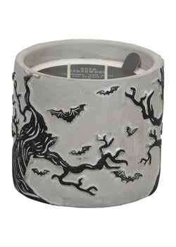 Dead Cedarwood | Cement