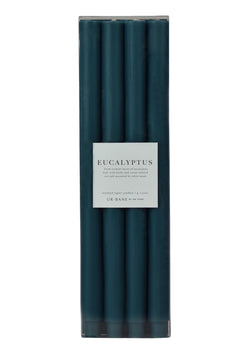 Eucalyptus | Taper 4-Pack