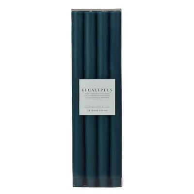 Eucalyptus | Taper 4-Pack