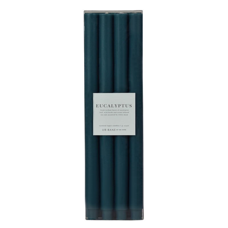 Eucalyptus | Taper 4-Pack