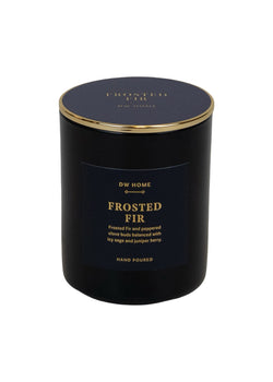 Frosted Fir - Mini