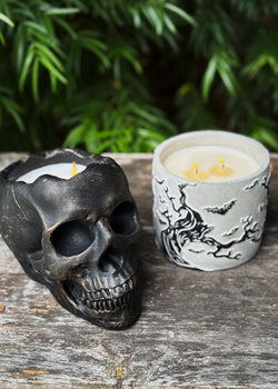 Dead Cedarwood | Cement Double Wick Candle