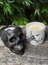 Dead Cedarwood | Cement Double Wick Candle thumbnail