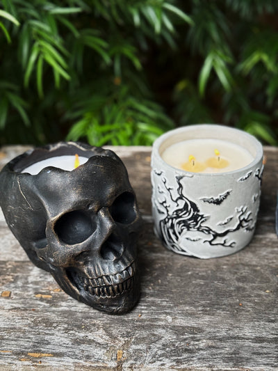 Dead Cedarwood | Cement Double Wick Candle